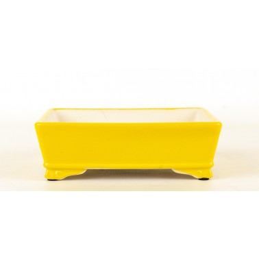 Yixing Bonsai Pot SCF-0016