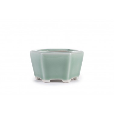 Maceta Bonsái Yixing GR-002