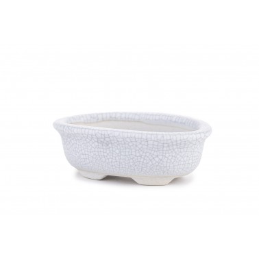 Maceta Bonsái Yixing WH-006