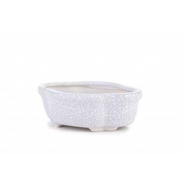 Maceta Bonsái Yixing WH-016