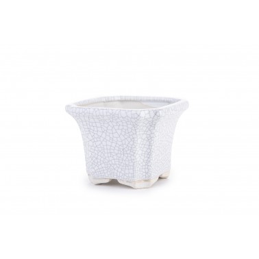 Maceta Bonsái Yixing WH-020