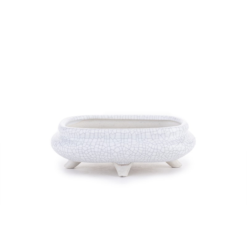 Maceta Bonsái Yixing WH-024