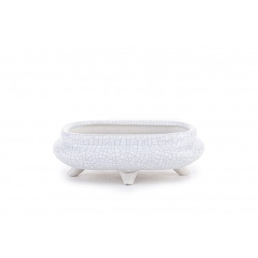 Maceta Bonsái Yixing WH-024