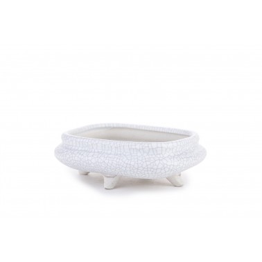 Maceta Bonsái Yixing WH-024