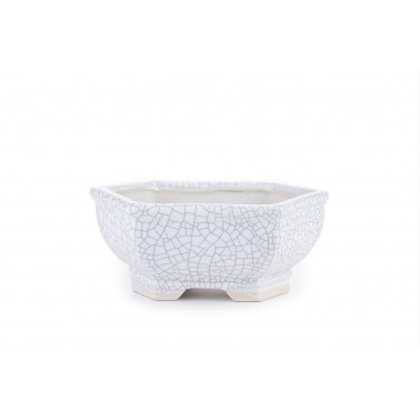 Maceta Bonsái Yixing WH-027