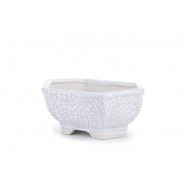 Maceta Bonsái Yixing WH-027