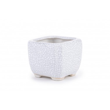 Maceta Bonsái Yixing WH-001