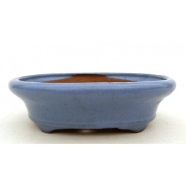 Maceta Bonsái Desconocido 50