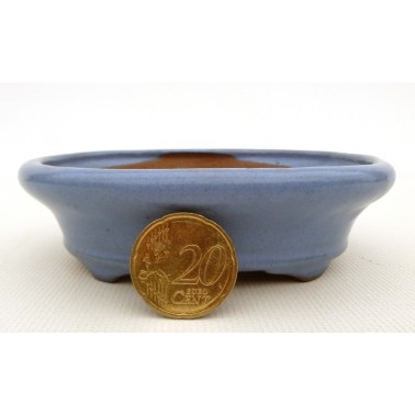 Maceta Bonsái Desconocido 50