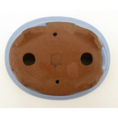 Maceta Bonsái Desconocido 50