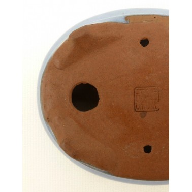 Maceta Bonsái Desconocido 50