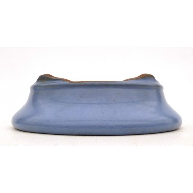 Maceta Bonsái Desconocido 50