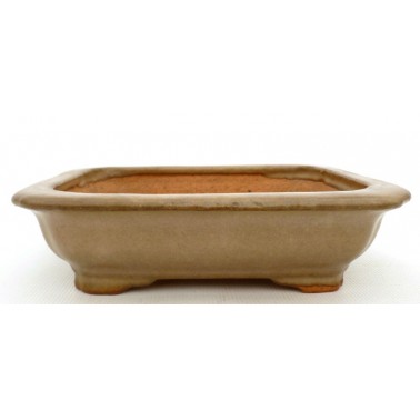 Maceta Bonsái Hattori 60