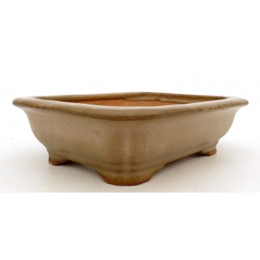 Maceta Bonsái Hattori 60