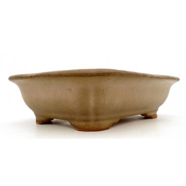 Maceta Bonsái Hattori 60