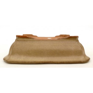 Maceta Bonsái Hattori 60