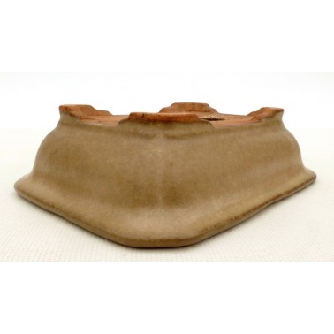 Maceta Bonsái Hattori 60