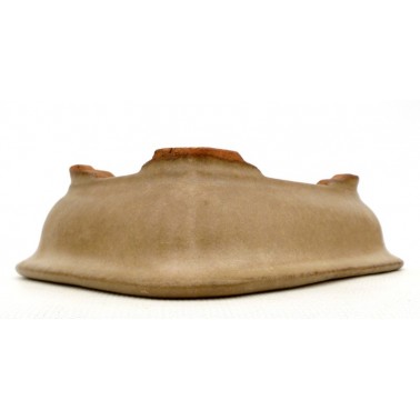 Maceta Bonsái Hattori 60