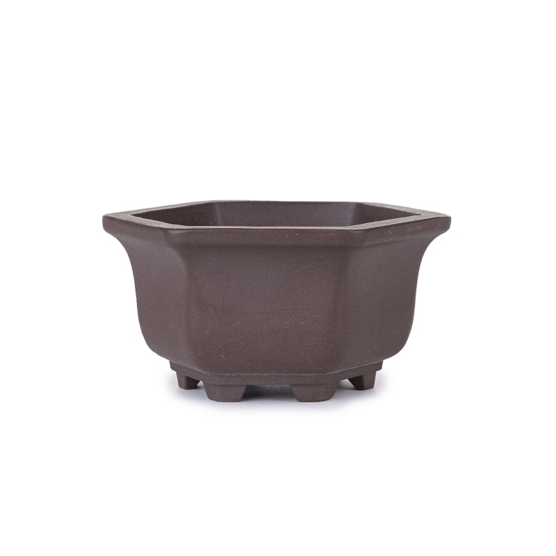 Maceta Bonsái Yixing ASE-3096