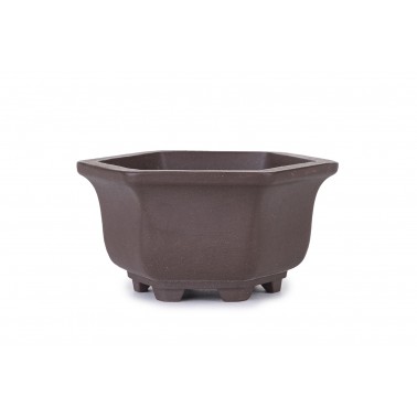 Maceta Bonsái Yixing ASE-3096
