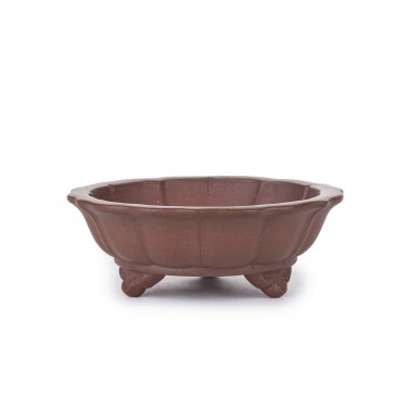 Maceta Bonsái Yixing B-023