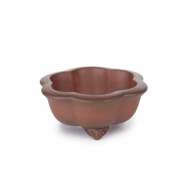 Maceta Bonsái Yixing B-244