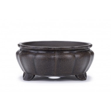 Maceta Bonsái Yixing B-256