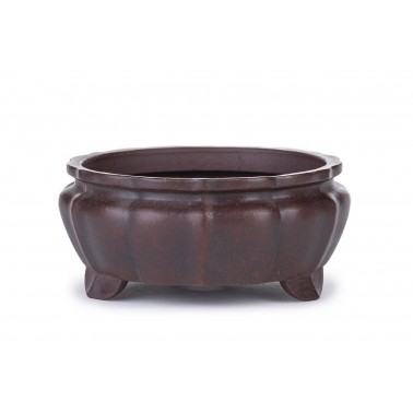 Maceta Bonsái Yixing B-256Z