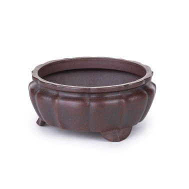Maceta Bonsái Yixing B-256Z