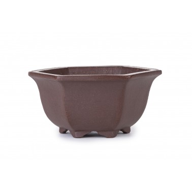Maceta Bonsái Yixing MQ-93Z