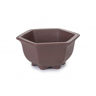 Maceta Bonsái Yixing MQ-93Z