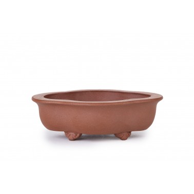 Maceta Bonsái Yixing NOE-10Z