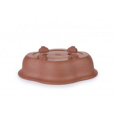 Maceta Bonsái Yixing NOE-10Z