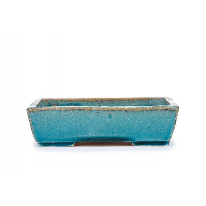 Maceta Bonsái Koyo 2204