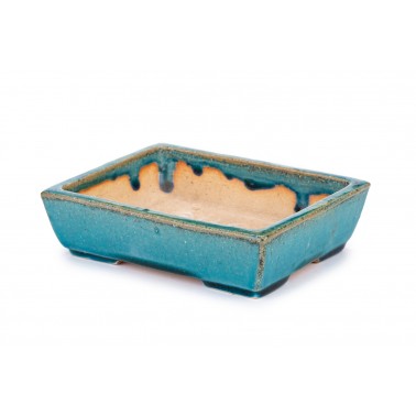 Maceta Bonsái Koyo 2204