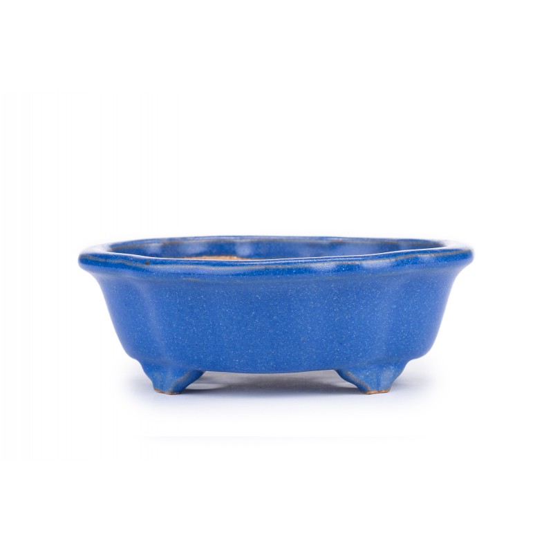 Maceta Bonsái Reihou 2205