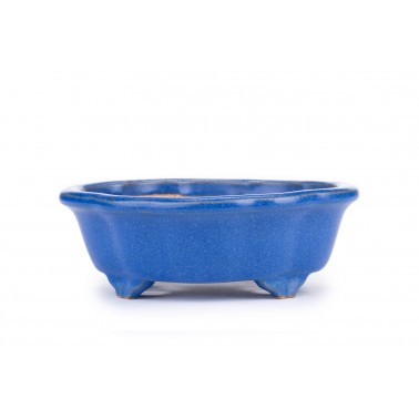 Maceta Bonsái Reihou 2205