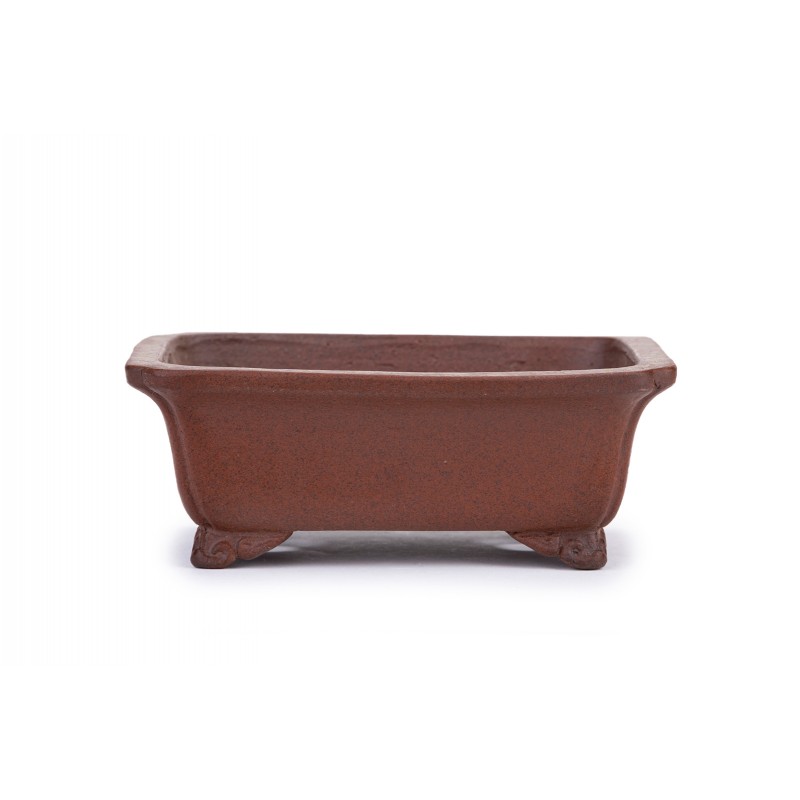 Maceta Bonsái Shibakatsu 2209