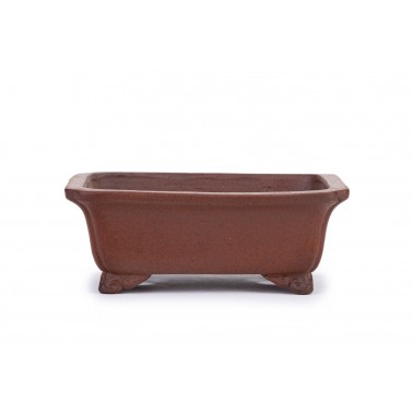 Maceta Bonsái Shibakatsu 2209