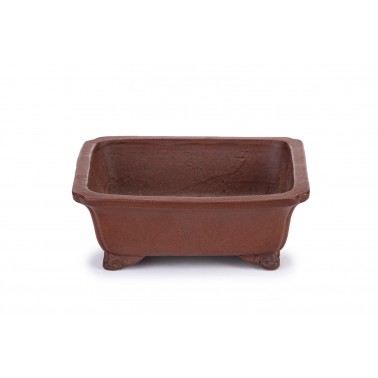 Maceta Bonsái Shibakatsu 2209