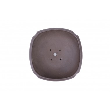 Maceta Bonsái Yixing ZX-002