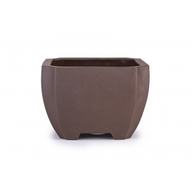 Maceta Bonsái Yixing ZX-010