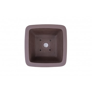 Maceta Bonsái Yixing ZX-012