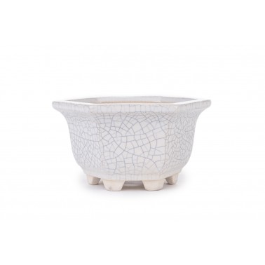 Maceta Bonsái Yixing RAS-020