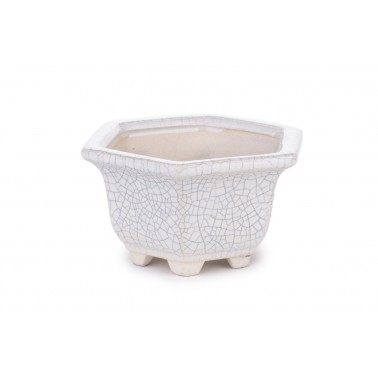 Maceta Bonsái Yixing RAS-020