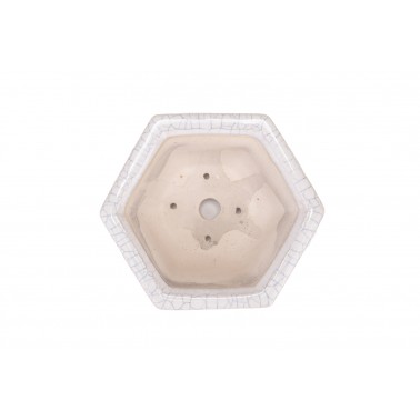 Maceta Bonsái Yixing RAS-020