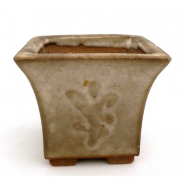 Maceta Bonsái Desconocido 73