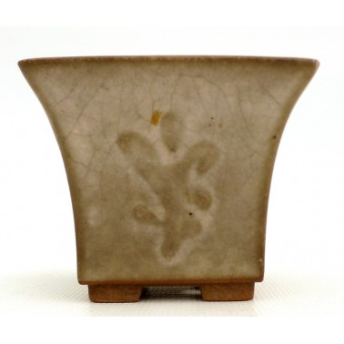 Maceta Bonsái Desconocido 73