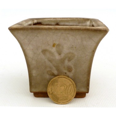 Maceta Bonsái Desconocido 73