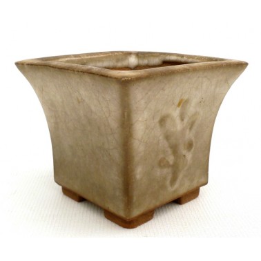 Maceta Bonsái Desconocido 73